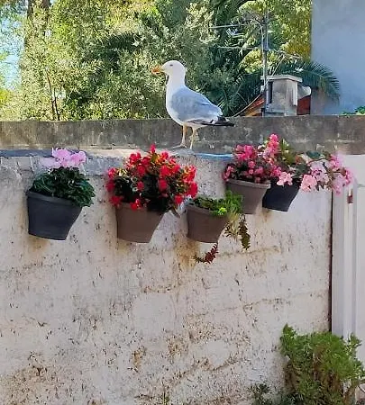 Apartman Joli Les Pieds Dans L Eau Avec Place De Parking Gratuite *